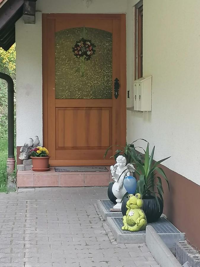 Ferienwohungen Im Kuchersbach Hornberg Exterior photo