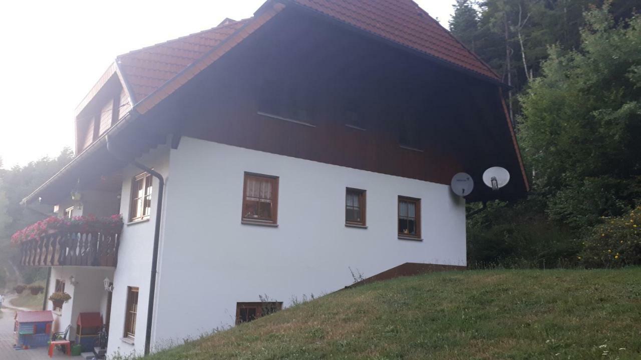 Ferienwohungen Im Kuchersbach Hornberg Exterior photo